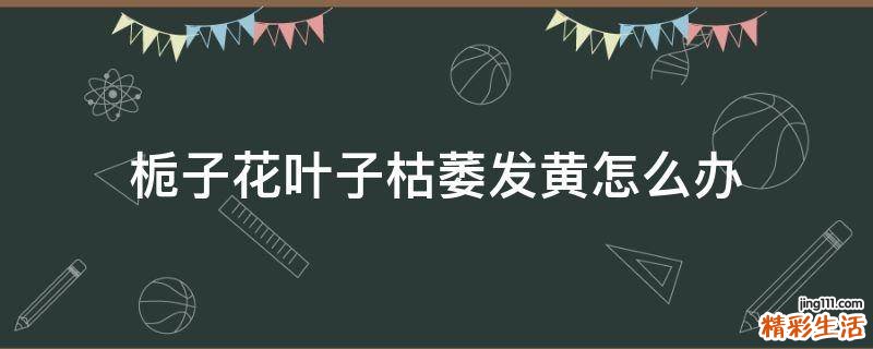栀子花叶子枯萎发黄怎么办