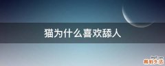 猫为什么喜欢舔人