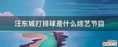 汪东城打排球是什么综艺节目