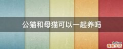 公猫和母猫可以一起养吗