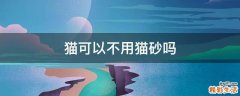 猫可以不用猫砂吗