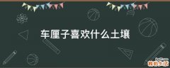 车厘子喜欢什么土壤