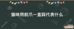 猫咪用前爪一直踩代表什么