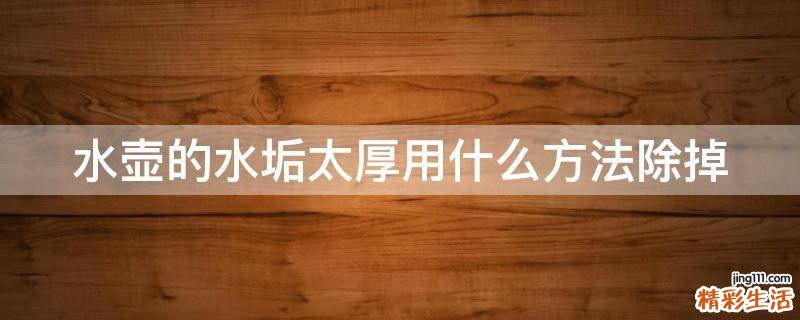 水壶的水垢太厚用什么方法除掉