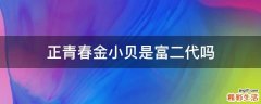 正青春金小贝是富二代吗