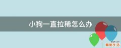 小狗一直拉稀怎么办