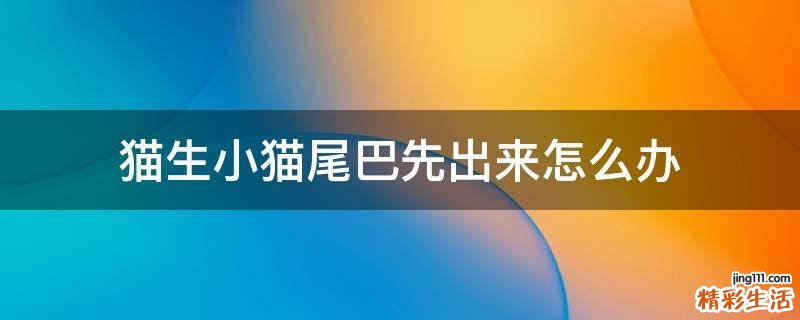猫生小猫尾巴先出来怎么办