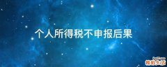 个人所得税不申报后果