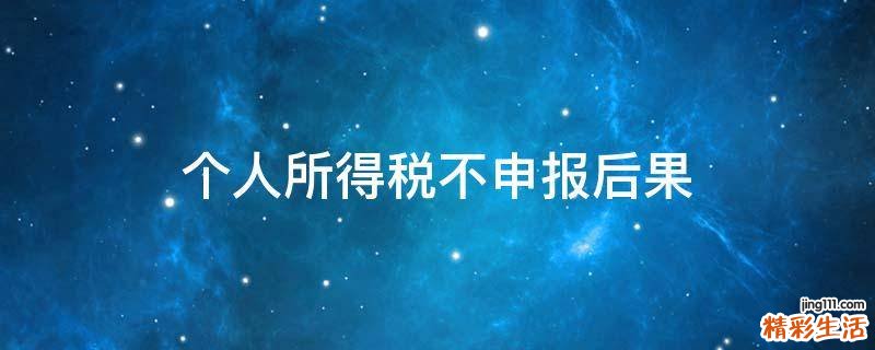 个人所得税不申报后果