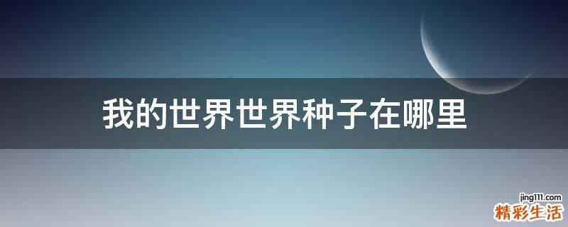 我的世界世界种子在哪里
