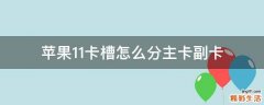 苹果11卡槽怎么分主卡副卡
