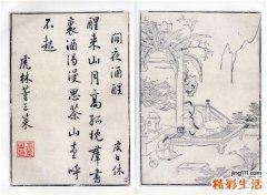 3 皂荚根皮