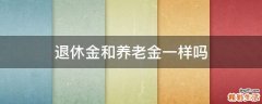 退休金和养老金一样吗