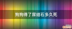 狗狗得了尿结石多久死