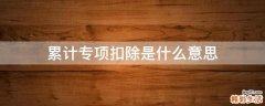 累计专项扣除是什么意思