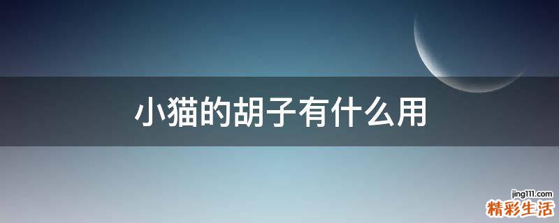 小猫的胡子有什么用