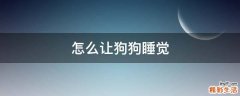 怎么让狗狗睡觉