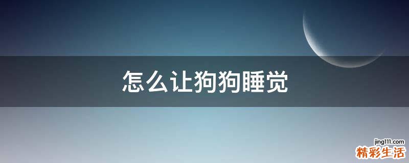 怎么让狗狗睡觉