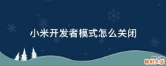 小米开发者模式怎么关闭