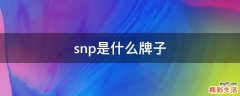 snp是什么牌子