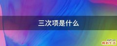 三次项是什么