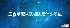 王者荣耀战队领队是什么职位