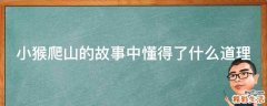 小猴爬山的故事中懂得了什么道理