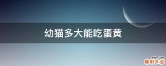 幼猫多大能吃蛋黄