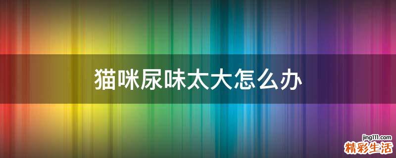 猫咪尿味太大怎么办