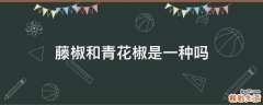 藤椒和青花椒是一种吗