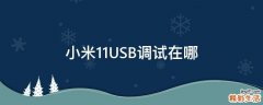 小米11USB调试在哪