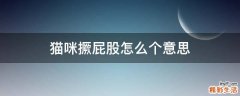 猫咪撅屁股怎么个意思