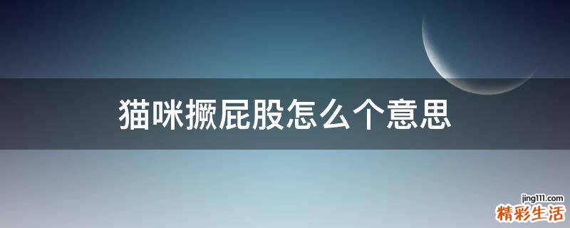 猫咪撅屁股怎么个意思