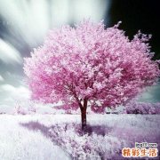 小儿感冒治疗五误区