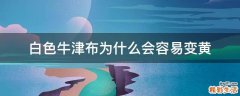 白色牛津布为什么会容易变黄