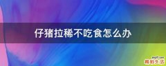 仔猪拉稀不吃食怎么办