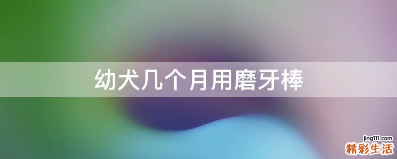 幼犬几个月用磨牙棒