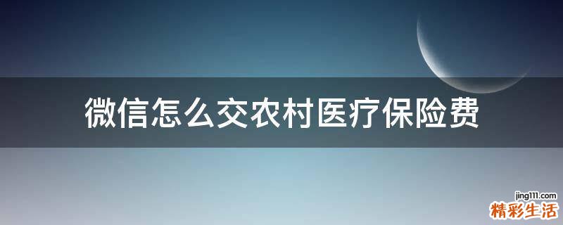 微信怎么交农村医疗保险费
