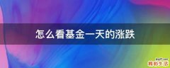 怎么看基金一天的涨跌