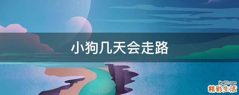 小狗几天会走路