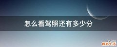 怎么看驾照还有多少分