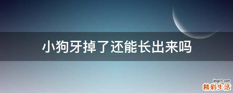 小狗牙掉了还能长出来吗