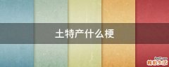 土特产什么梗