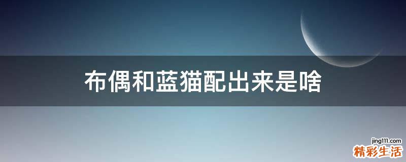 布偶和蓝猫配出来是啥