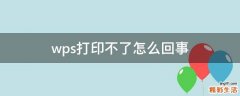 wps打印不了怎么回事