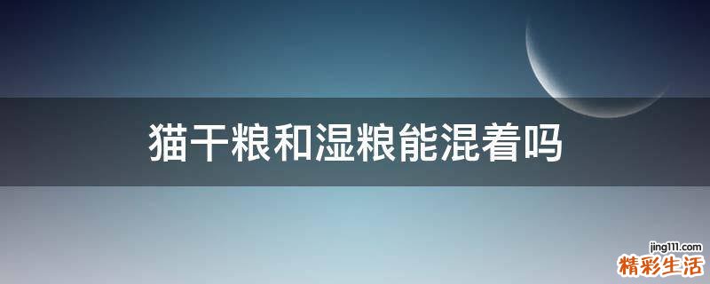 猫干粮和湿粮能混着吗