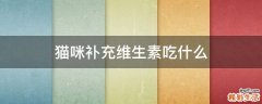猫咪补充维生素吃什么