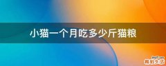 小猫一个月吃多少斤猫粮