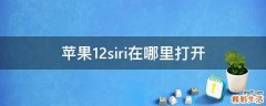 苹果12siri在哪里打开