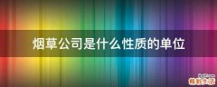 烟草公司是什么性质的单位